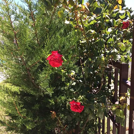 Horizont Διαμέρισμα